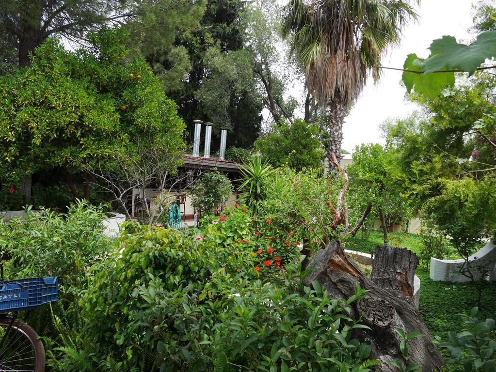 Longhouse Inn Hotel Dalyan Extérieur photo